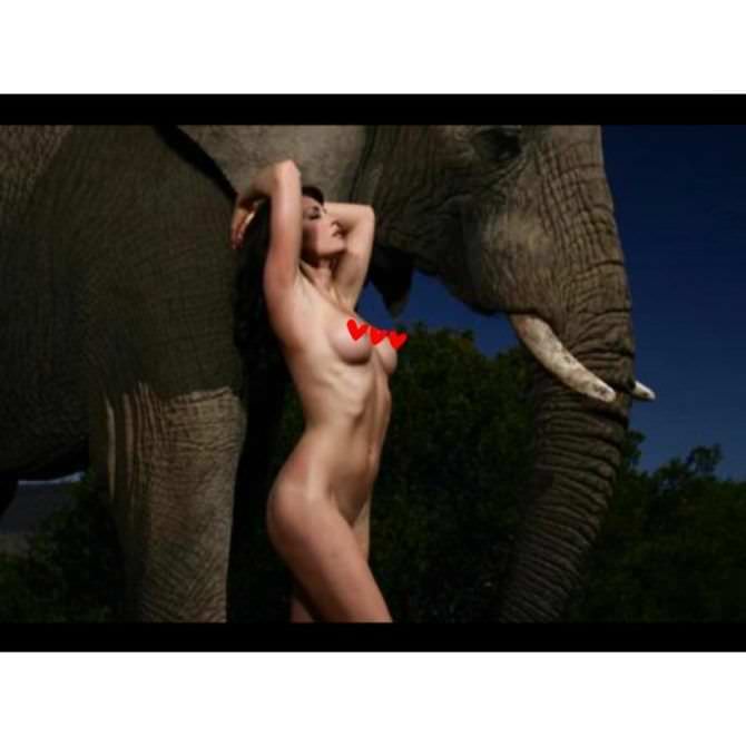 Танит Феникс фото со слоном